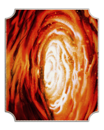 WWE - Portal - Warrior Nation